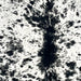 closeup of this Speckled Colombian Cowhide, showing white with black speckles and spots (COSP3573)