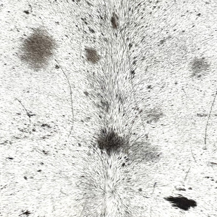 closeup of this Speckled Colombian Cowhide, showing white with black speckles and spots, and a few small, brownish black spots (COSP3574)