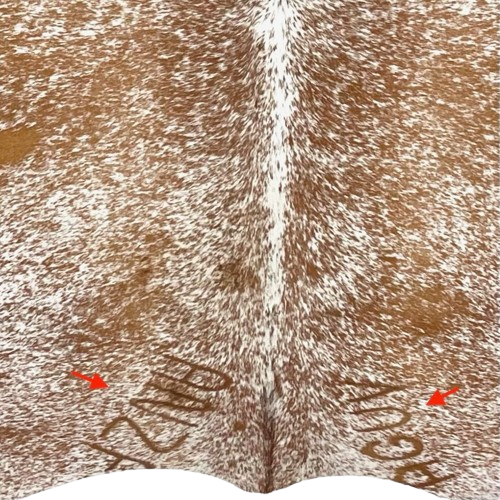 closeup of this Brown and White Speckled Colombian Cowhide, showing one brand mark on each side of the butt   (COSP3575)