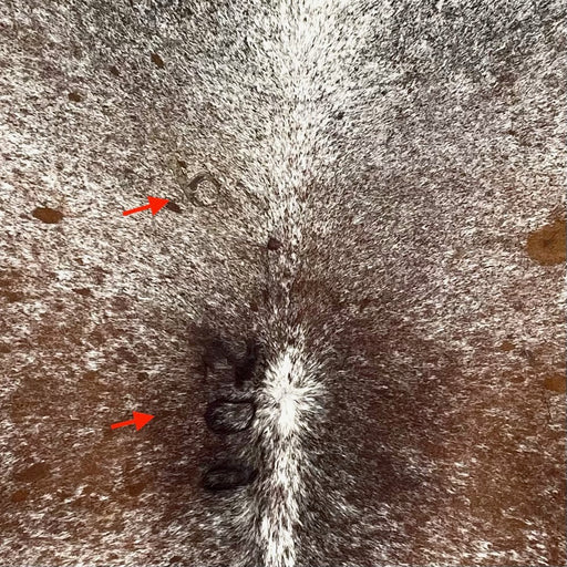 closeup of this Tricolor Speckled Colombian Cowhide, showing white with brown and black speckles and spots, and two brand marks along the left side of the spine (COSP3576)