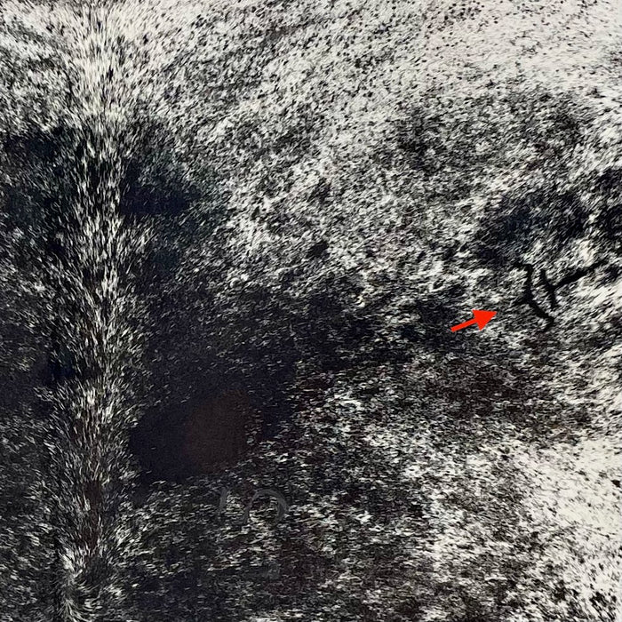 closeup of this  Speckled Colombian Cowhide, showing white with black speckles and spots, and one brand mark near the right fore shank (COSP3577)