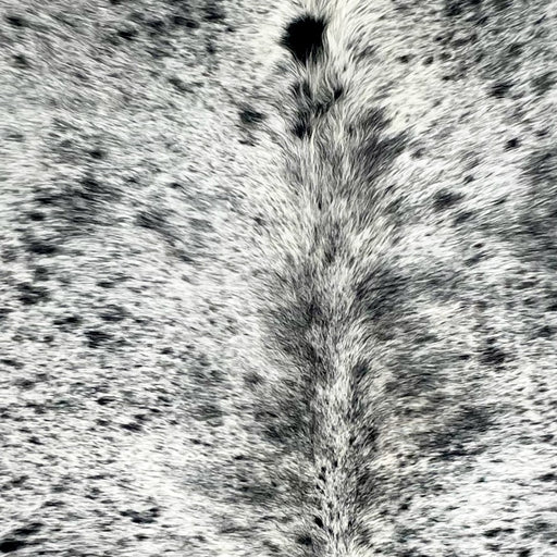 closeup of this Large Speckled Colombian Cowhide, showing white with black speckles and spots (COSP3578)