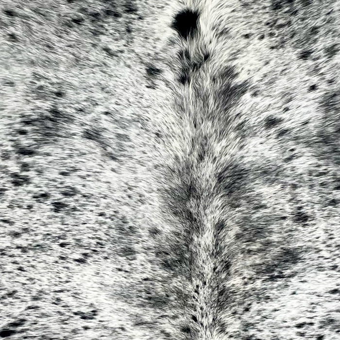 closeup of this Large Speckled Colombian Cowhide, showing white with black speckles and spots (COSP3578)