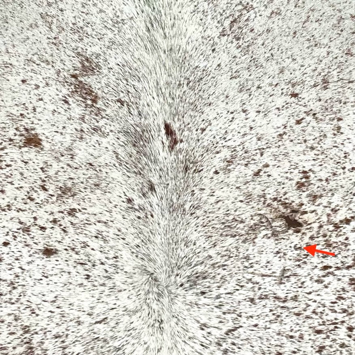 closeup of this Speckled Brazilian Cowhide, showing white with brown speckles and spots, and one brand mark on the right side of the back (COSP3580)