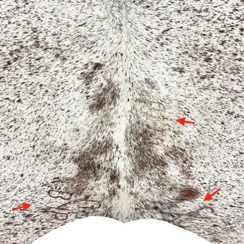 closeup of this Brown and White Speckled Brazilian Cowhide, showing one brand mark on the right side of the back, and one on each side of the butt (COSP3580)