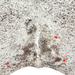 closeup of this Brown and White Speckled Brazilian Cowhide, showing one brand mark on the right side of the back, and one on each side of the butt (COSP3580)