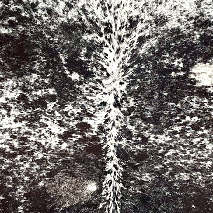 closeup of this Large Speckled Colombian Cowhide, showing white with black spots and speckles (COSP3582)