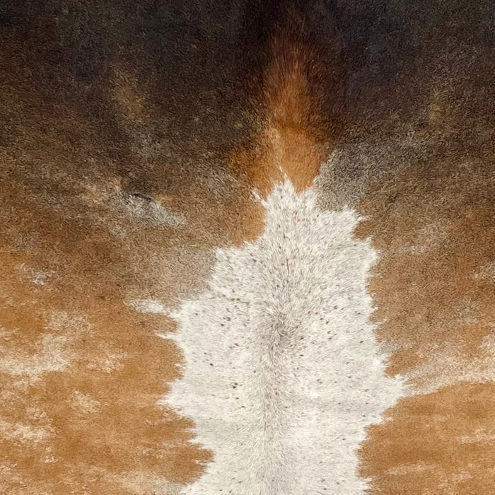 closeup of this Tricolor Speckled Colombian Cowhide, showing a mix of brown, blackish brown, and off-white, off-white with brown speckles down the middle (COSP3583)
