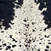 closeup of this Large Black and White Speckled Colombian Cowhide, showing white with black speckles and spots (COSP3586)