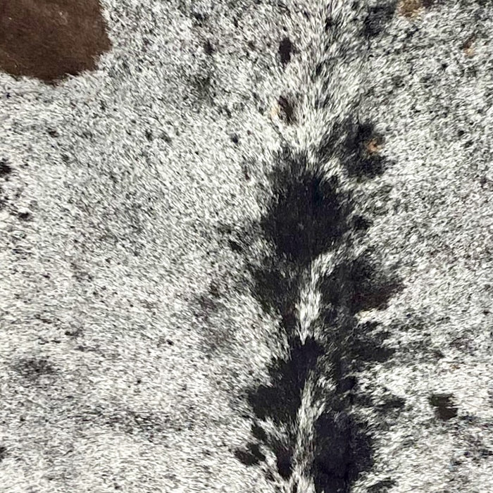 closeup of this Speckled Colombian Cowhide, showing white with black speckles and spots, and a few small, brown spots (COSP3588)