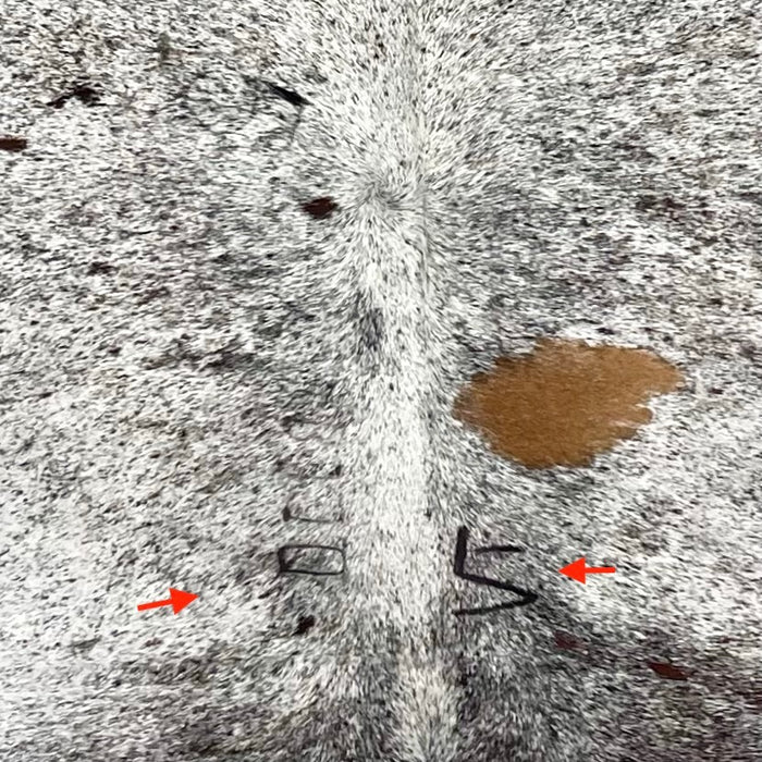 closeup of this Black and White Speckled Colombian Cowhide, showing one brand mark on each side of the back, along the spine (COSP3589)