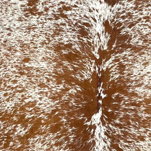 closeup of this Speckled Colombian Cowhide, showing white with reddish brown speckles and spots (COSP3590)