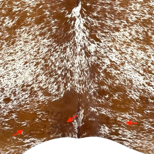 closeup of this Reddish Brown and White Speckled Colombian Cowhide, showing  two brand marks on the left side of the butt, and one on the right side of the butt  (COSP3590)