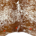 closeup of this Reddish Brown and White Speckled Colombian Cowhide, showing  two brand marks on the left side of the butt, and one on the right side of the butt  (COSP3590)