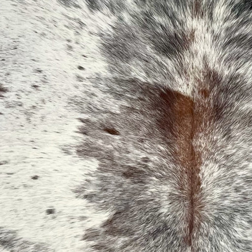 Closeup of this Large Colombian Tricolor Cowhide, showing white with brown and black speckles and spots (COSP3691)
