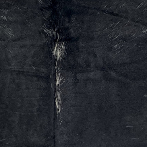 Closeup of this Large Speckled Colombian Cowhide, showing mostly solid black, with white speckles down the spine and on the  shoulder (COSP3751)
