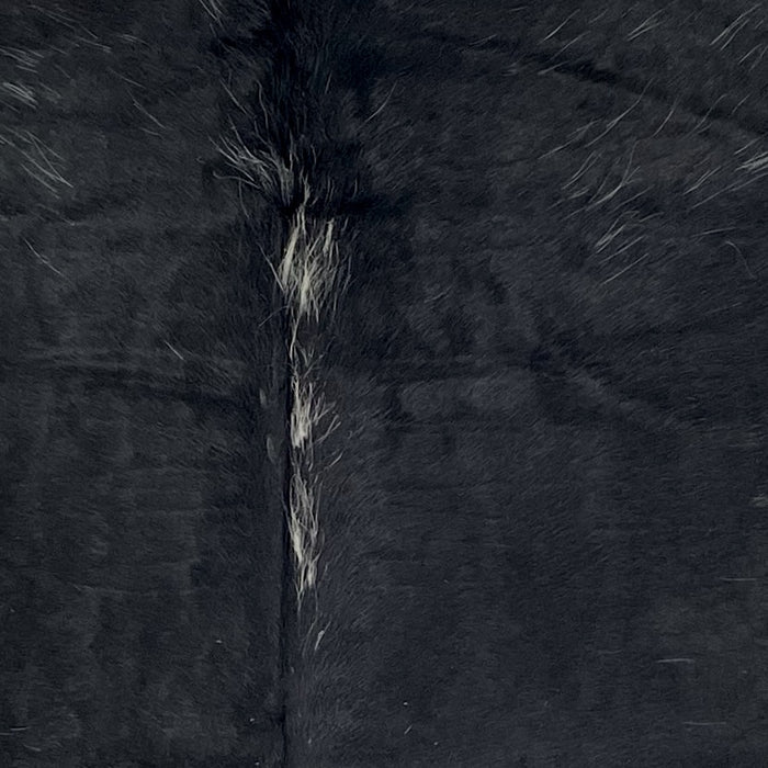Closeup of this Large Speckled Colombian Cowhide, showing mostly solid black, with white speckles down the spine and on the  shoulder (COSP3751)