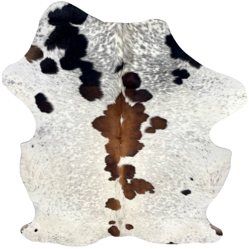 Large Tricolor Speckled Colombian Cowhide: white with faint, black speckles, and black and brown spots, and longer hair down the spine - 7'6" x 5'5" (COSP3752)