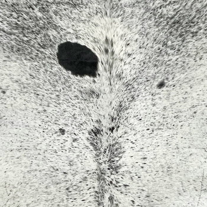 Closeup of this Large Speckled Colombian Cowhide, showing white with black speckles and spots (COSP3753)