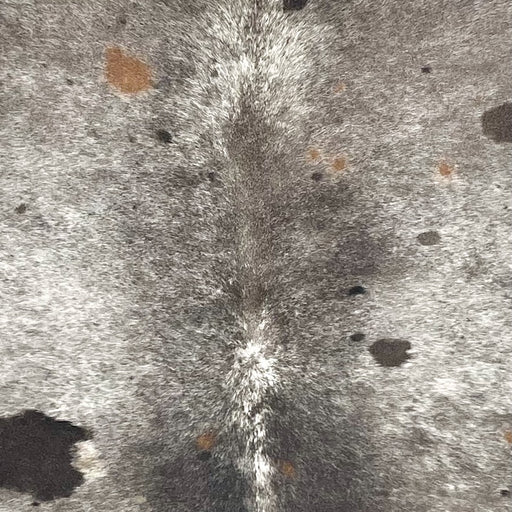 Closeup of this Multicolored Speckled Colombian Cowhide, showing white with taupe and gray speckles, and black, brown, and taupe spots (COSP3755)