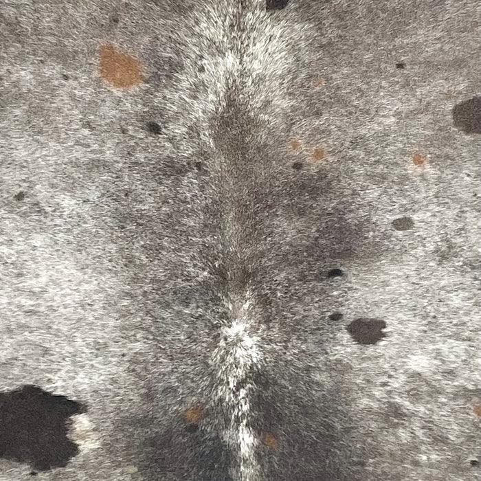 Closeup of this Multicolored Speckled Colombian Cowhide, showing white with taupe and gray speckles, and black, brown, and taupe spots (COSP3755)