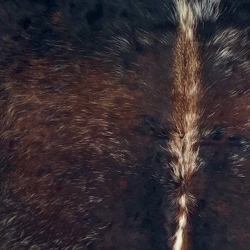 Closeup of this Tricolor Speckled Colombian Cowhide, showing a mix of black and reddish brown with white speckles (COSP3756)