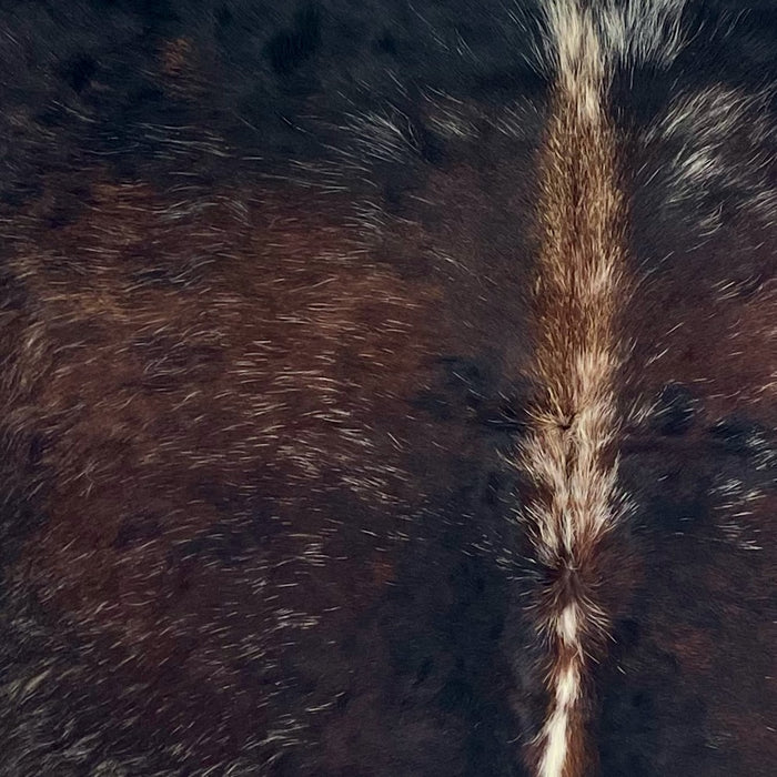 Closeup of this Tricolor Speckled Colombian Cowhide, showing a mix of black and reddish brown with white speckles (COSP3756)
