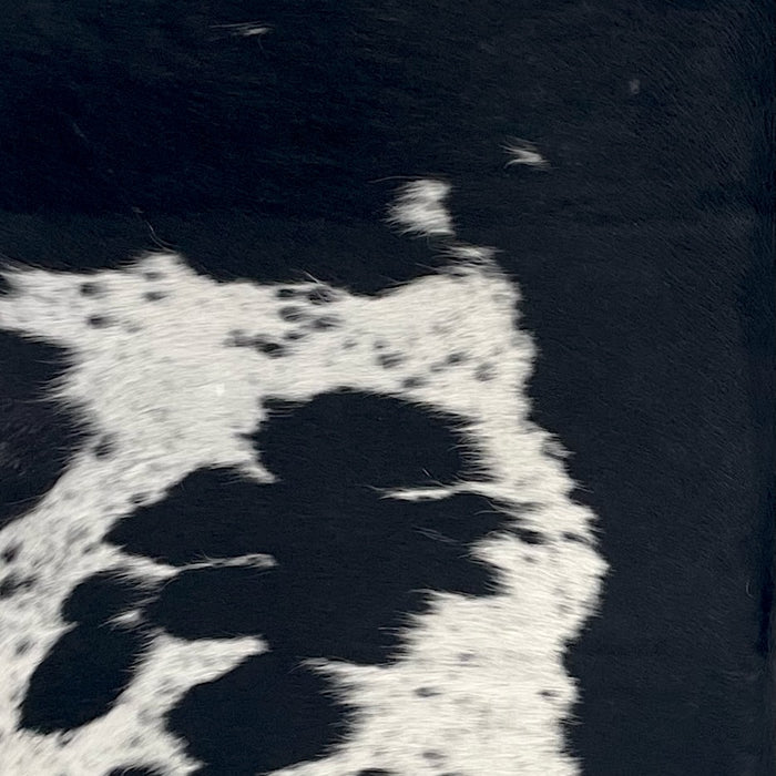 Closeup of this Speckled Colombian Cowhide, showing white with black speckles and spots, and solid black down the middle and across the shoulder  (COSP3757)