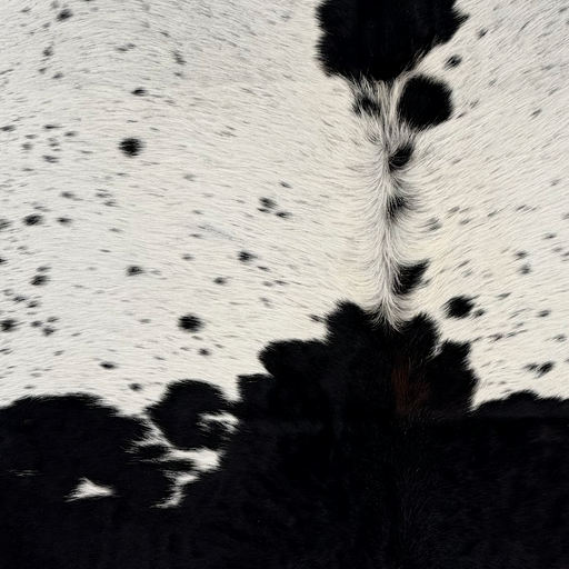 Closeup of this Speckled Colombian Cowhide, showing white with black speckles and spots (COSP3849)