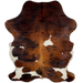 Colombian Tricolor Cowhide:  has a reddish brown and black, brindle pattern, with a few large and small, white spots, and it has golden brown down part of the spine - 7'4" x 5'1" (COTR1002)