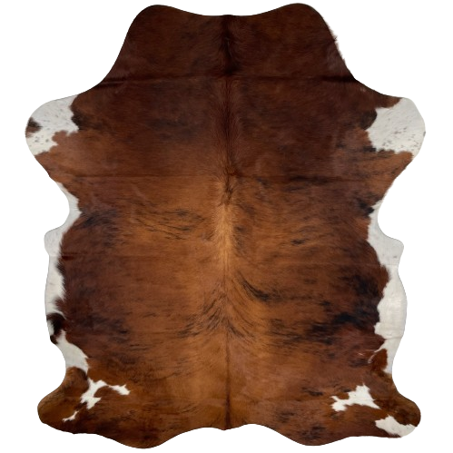 Colombian Tricolor Cowhide:  has a reddish brown and black, brindle pattern, with white on the belly and part of the shanks - 7'2" x 5'5" (COTR1005)