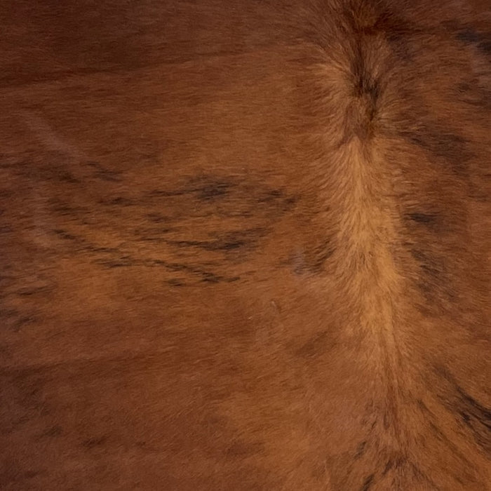 Closeup of this Colombian, Tricolor Cowhide, showing a reddish brown and black, brindle pattern (COTR1005)