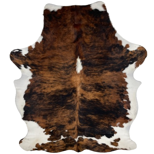 Colombian Tricolor Cowhide:  has a brown and black, brindle pattern, with a white spot in the middle of the shoulder, and it has white on the belly and part of the shanks and neck - 7'2" x 5'3" (COTR1010)