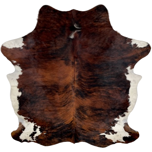 Colombian Tricolor Cowhide:  has a red brown and black, brindle pattern, with white on the belly and part of the shanks - 7'2" x 5'9" (COTR1012)