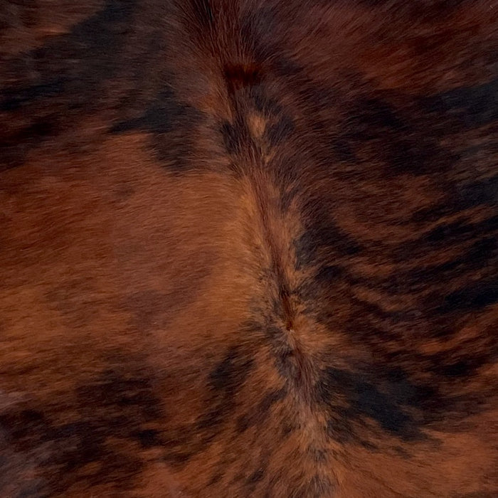 Closeup of this Colombian, Tricolor Cowhide, showing a red brown and black, brindle pattern (COTR1012)
