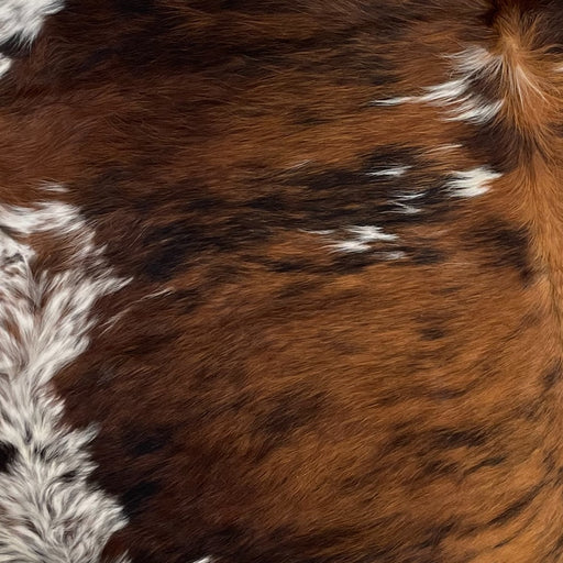 Genuine Cowhide Leather  Brazilian & Colombian Cowhides — Superior Hides