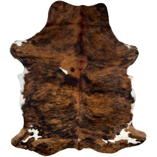 Colombian Tricolor Cowhide:  has a brown and black, brindle pattern covering most of the hide, with two small, white spots on the back, and white spots on the shanks and belly - 6'10" x 4'8" (COTR1017)