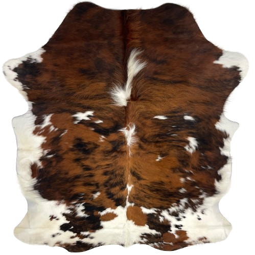 Colombian Tricolor Cowhide:  off-white and white, with large and small spots that have a reddish brown and black, brindle pattern - 6'3" x 4'10" (COTR1023)