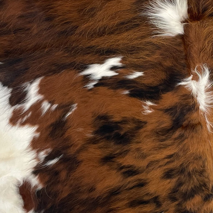 Closeup of this Colombian, Tricolor Cowhide, showing off-white and white, and large and small spots that have a reddish brown and black, brindle pattern (COTR1023)