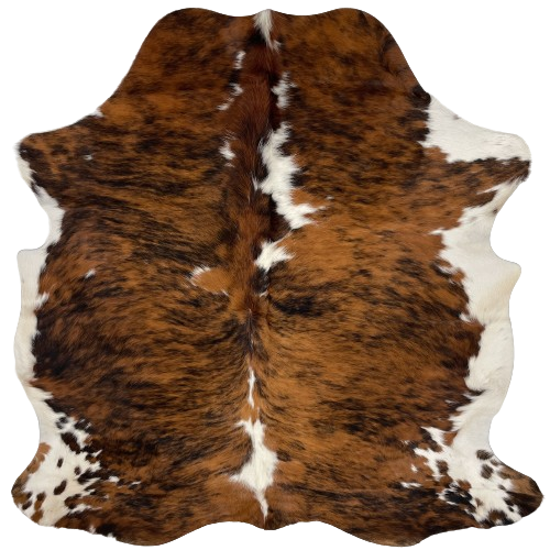 Colombian Tricolor Cowhide:  has a brown and black, brindle pattern, with a few white spots on the back and down the spine, and it has white, with brown and black spots on the belly and shanks - 6' x 5' (COTR1024)