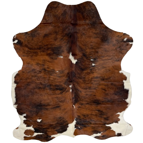Colombian Tricolor Cowhide:  has a reddish brown and black, brindle pattern, with a  few small, white spots, and white on part of the belly and hind shanks - 6'7" x 5'1" (COTR1026)