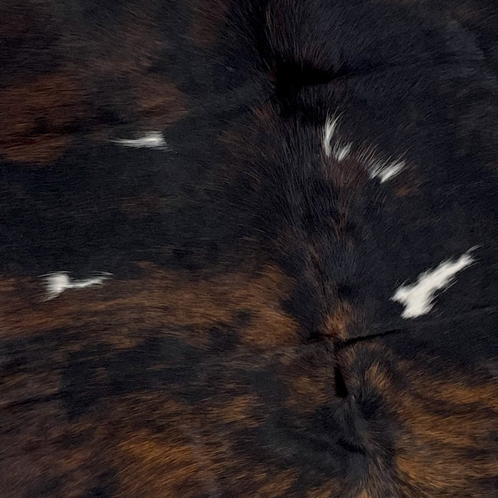 Closeup of this Colombian, Dark Tricolor Cowhide, showing mostly black, with some brown mixed in, and a few splashes of white on the back (COTR1028)