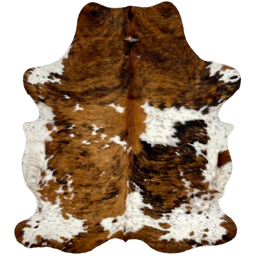 Colombian Speckled Tricolor Cowhide:  white, with faint, brown and black speckles, and it has large and small spots that have a brown and black, brindle pattern - 6'5" x 4'10" (COTR1032)