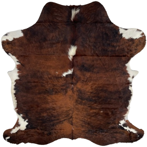 Colombian Tricolor Cowhide:  has a mix of dark reddish brown and black with three white spots down the spine, and white on part of the belly and shanks - 6'4" x 4'11" (COTR1034)