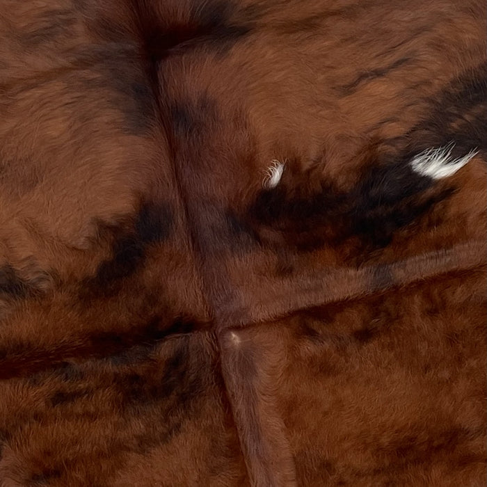 Closeup of this Colombian, Tricolor Cowhide, showing a mix of brown and black covering most of the hide, with four small, white spots (COTR1036)