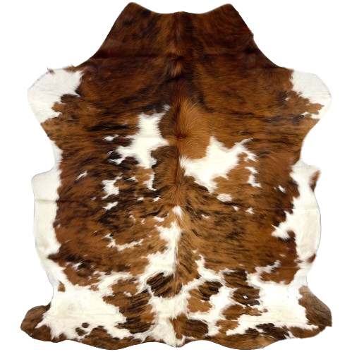 Colombian Tricolor Cowhide:  white with large and small spots that have a brown and black, and dark reddish brown and black, brindle pattern, and it has off-white on the belly and hind shanks - 6'4" x 4'10" (COTR1038)