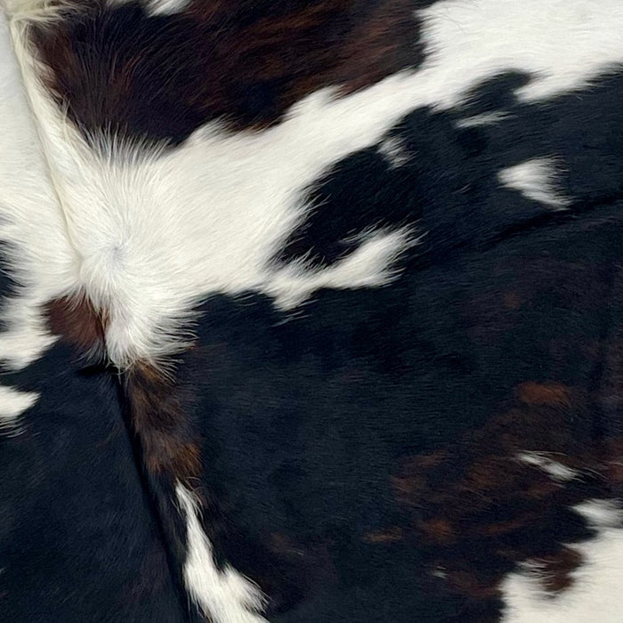 Closeup of this Colombian, Tricolor Cowhide, showing white with black spots, and large and small that have have a mix of black and dark brown (COTR1039)