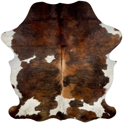Colombian Tricolor Cowhide:  has a mix of dark brown, reddish brown, and black, with a few white spots that have black speckles, and it has white on the belly - 7'1" x 5'8" (COTR1048)