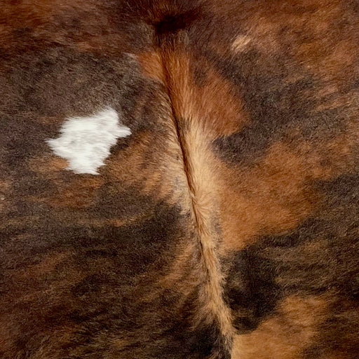 Closeup of this Colombian, Tricolor Cowhide, showing a mix of dark brown, reddish brown, and black, with a white spot that has black speckles (COTR1048)