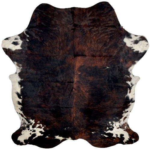 Colombian Dark Tricolor Cowhide:   has a mix of black and red brown, covering most of the hide, and it has white, with brown and black speckles and spots, on the belly and shanks - 7'3" x 5'7" (COTR1050)